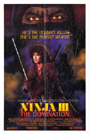 ninja302.jpg
