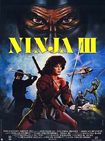 ninja306.jpg